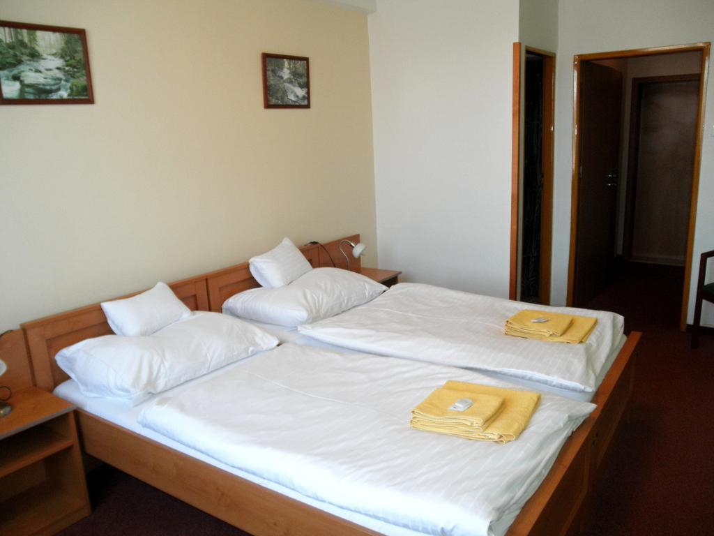 Hotel Vysocina Chotebor Room photo